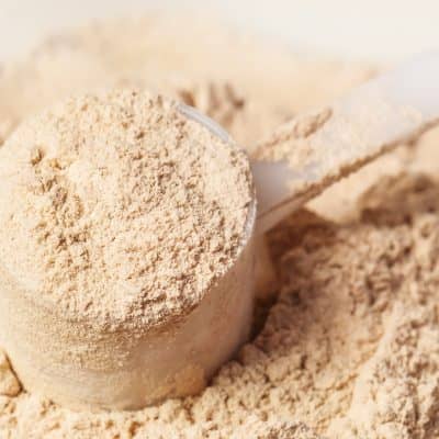 yeast protein powder